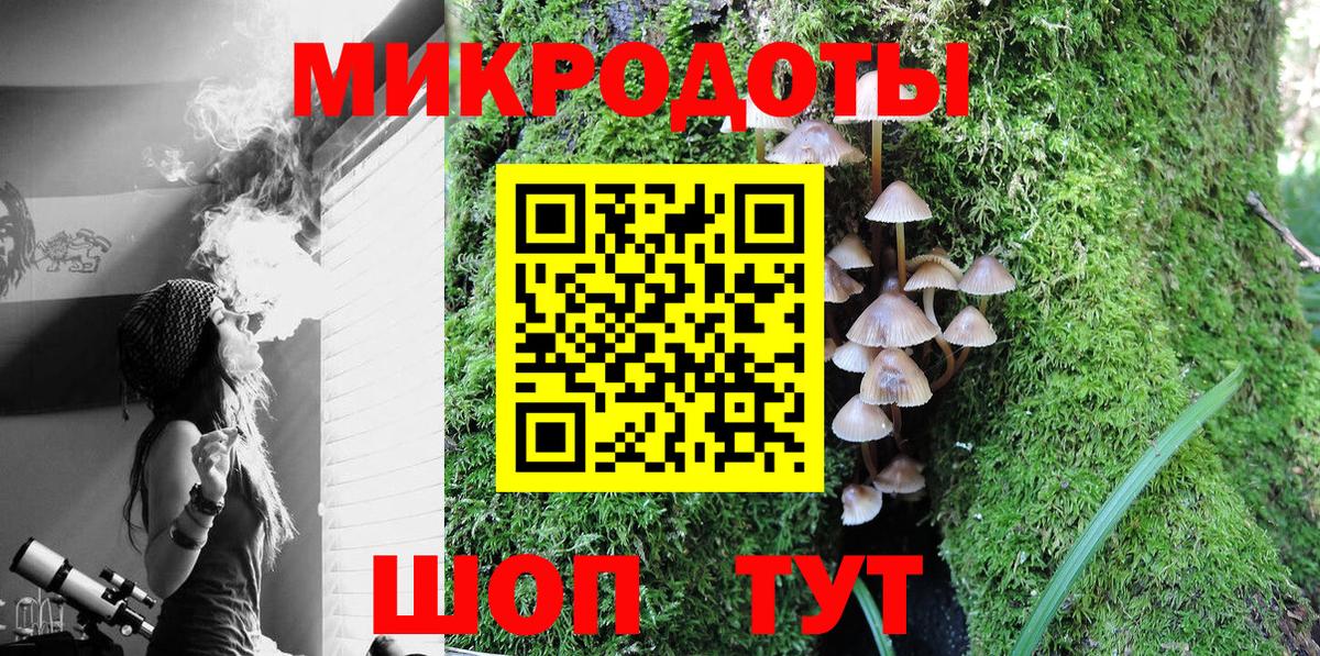 Псилоцибиновые грибы ЛСД Ессентуки