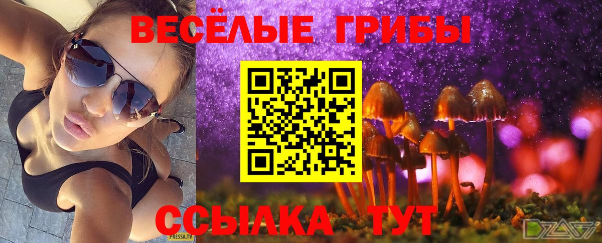 Ессентуки  Галлюциногенные грибы MAGIC MUSHROOMS  Галлюциногенные грибы мухоморы  Вход с VPN 